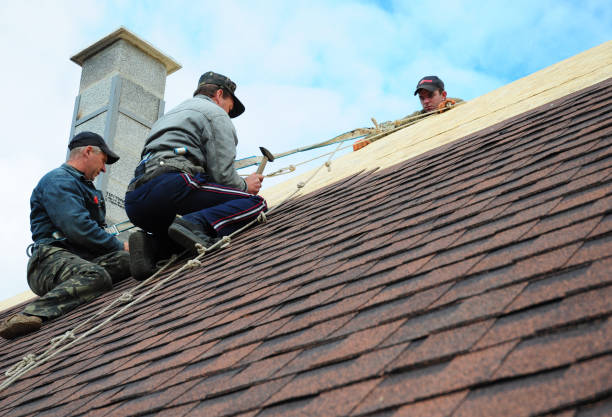 Best Roof Gutter Cleaning  in St Leon, IN